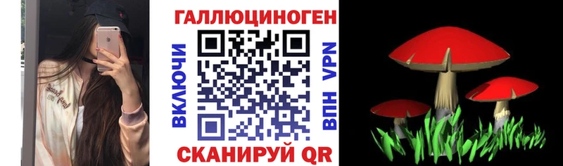 Галлюциногенные грибы Cubensis  дарк нет формула  Красково  наркошоп 